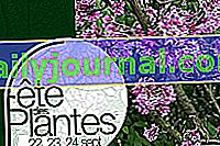 Festival de las plantas de otoño 2017 en Saint-Jean de Beauregard (91)
