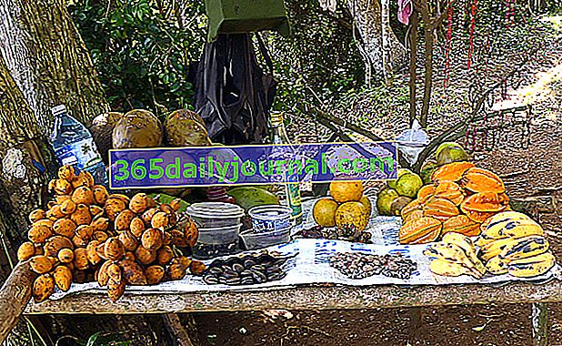 Eksotično sadje s Kube