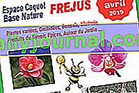 Pierwsza wystawa - Rośliny, przyroda i ziemia Fréjus (83)