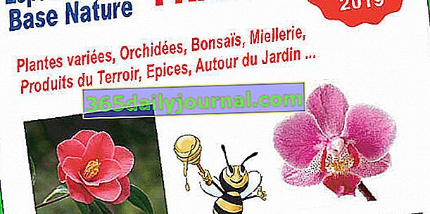 1. prodej rostlin, přírody a terroirů ve Fréjusu (83)