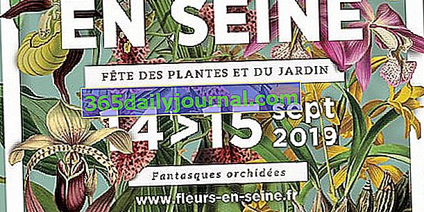 Kvety v Seine 2019 - Les Mureaux (78)