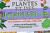 25. festival biljaka i pilića u La Bourdaisière - Montlouis-sur-Loire (37)