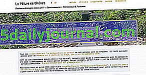 Taller de permacultura en el jardín en Bretaña - Hénon (22)