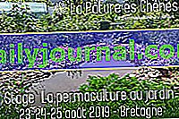 Permakulturní dílna na zahradě v Bretani - Hénon (22)