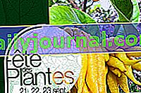 Festival de las plantas 2018 de Saint-Jean de Beauregard (91)