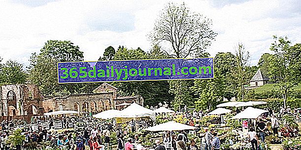 Festival rastlin 2017 v Doullensu (80)