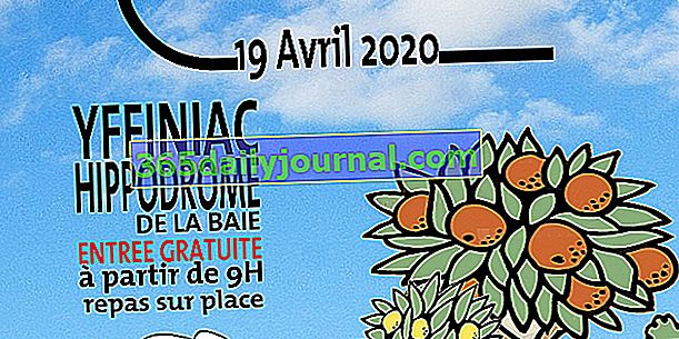 Trédaniel'de 2020 Bitki Festivali (22)
