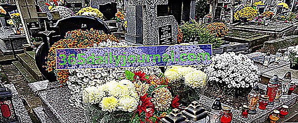 chryzantémy na kvetinové cintoríny