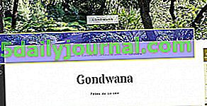 Gondwana, Festival de las Plantas del Mediterráneo 2017 en La Garde (83)