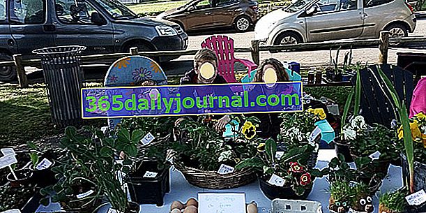 Зеленый блошиный рынок / бартер растений 2019 в Ландузи-ла-Виль (02)