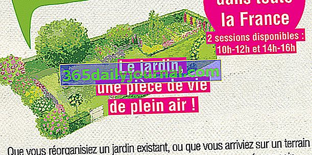 Crear y organizar mi jardín en Saint Ouen (93)