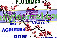 Montels içinde Floralies 2019 (81)