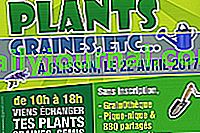 Zamijenite biljke i odlaganje vrta 2017. u Clissonu (44)