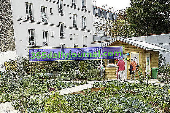 Сады Партеже в Париже