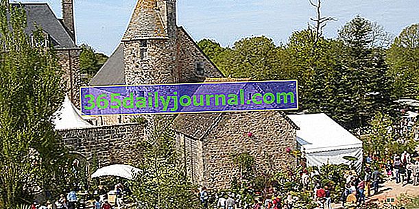 Francusko-britanski dani biljaka 2017. u Crosville sur Douve (50)