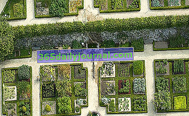  Градини с лечебни растения в абатството Даулас