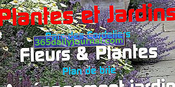 Plantas & Jardines 2020 en Anduze (30)