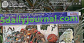 Festival de las plantas de otoño 2019 en Saint-Jean de Beauregard (91)