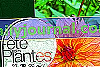Festival de las plantas de otoño 2019 en Saint-Jean de Beauregard (91)