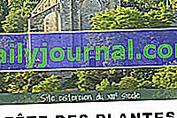 29-и фестивал на растенията в Abbaye-Nouvelle - Léobard (46)
