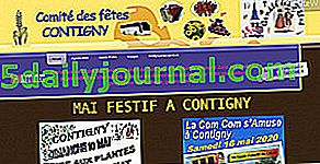 Feria de Plantas y Artesanías - Mercadillo de Contigny (03)