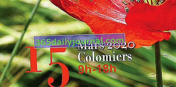 Sejem rastlin Colomiers 2020 (31)