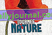 День природи 2018 у Талмон-Сен-Ілер (85)