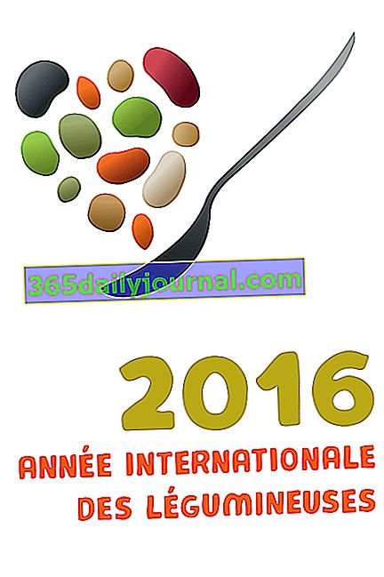2016, Международна година на импулсите