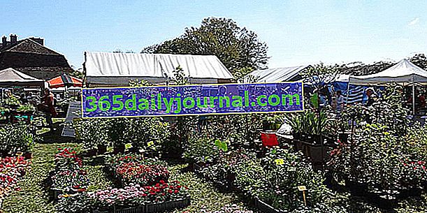 Salon des Plantes 2019 převorské zahrady v Souvigny (03)