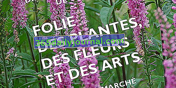 Лудост от растения, цветя и изкуства 2019 в Bouges le Château (36)