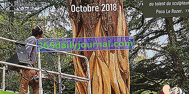 Festival de los bosques y la madera 2018 en el castillo de la Bourdaisière (37)