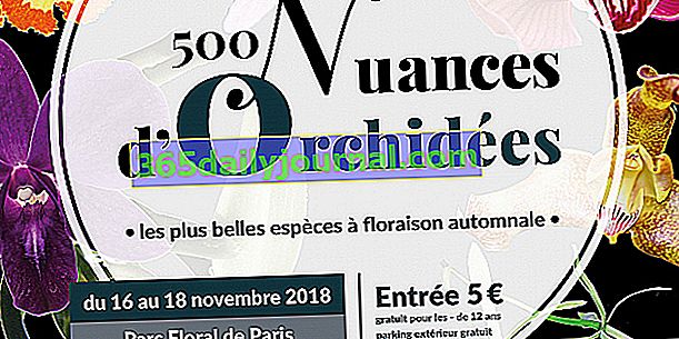 500 sombras de orquídeas 2018 en París 12