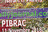 Festi Jardin Nature et Plantes 2018 в Pibrac (31)