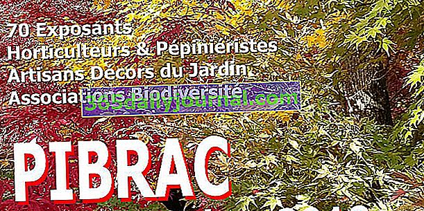 Festi Jardin Nature et Plantes 2018 en Pibrac (31)