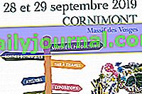 Fête des Simples 11a edición - Cornimont (88)