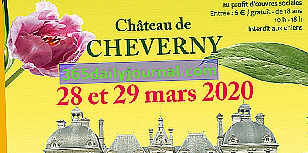 Festival rostlin 2020 na zámku Château de Cheverny (41)