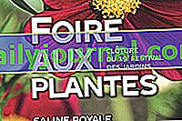 Панаир на растенията 2019 г. на Royal Saltworks of Arc-et-Senans (25)