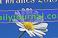 Floralies Campuget 2018 в Мандуел (30)