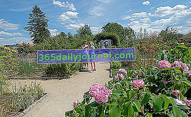 Cita en los jardines 2019: Jardín de la finca de Gustave Courbet
