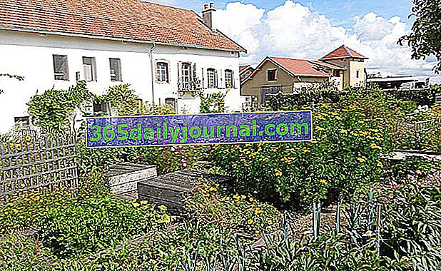 Фермерска градина на Courbet (25)