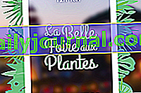 Feria de las hermosas plantas de La Rochelle 2019 (17)