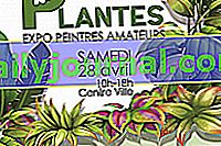 Feria de plantas de Saint-Cannat 2018 (13)