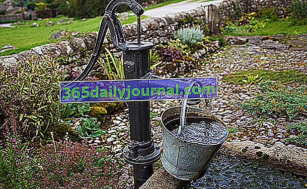 oszczędzaj wodę niezbędną w ogrodzie