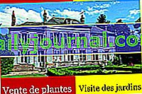 2019 Фестивал на растенията и биоразнообразието Saint-Sauveur-Marville (28)