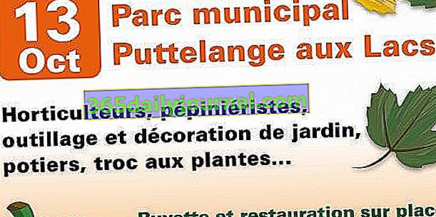 2019 на Potifolie в Puttelange-aux-Lacs (57)