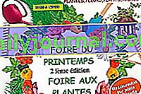 Ferias de plantas y artesanías 2020 en Frontón (31)