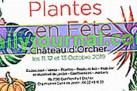 Plants en Fête 2019 - Гонфревиль л'Орше (76)