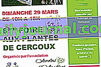 Feria de plantas el 29 de marzo de 2020 - Cercoux (17)