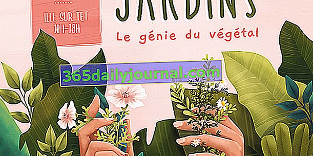 El arte de los Jardines 2020 en Ille-sur-Têt (66)