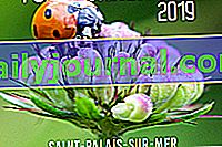 Environmentální fórum v Saint-Palais-sur-Mer (17)